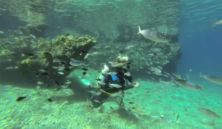 Kemer Scuba Diving - 2