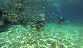 Kemer Scuba Diving - 4