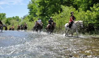 Bodrum Horse Safari - 2