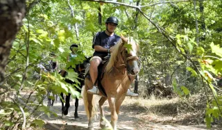 Fethiye Horse Safari - 6