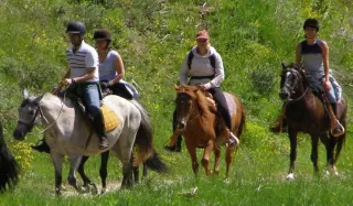 Kusadasi Horse Safari - 3