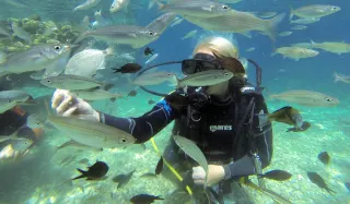 Bodrum Scuba Diving - 1
