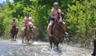Marmaris Horse Safari - 1