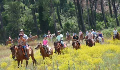 Kusadasi Horse Safari